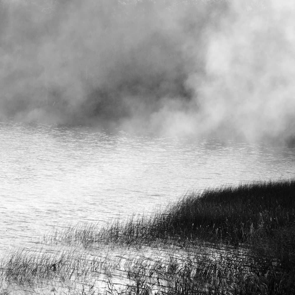 Misty Lake Reeds by Poul-Erik Riis — canvas wall art