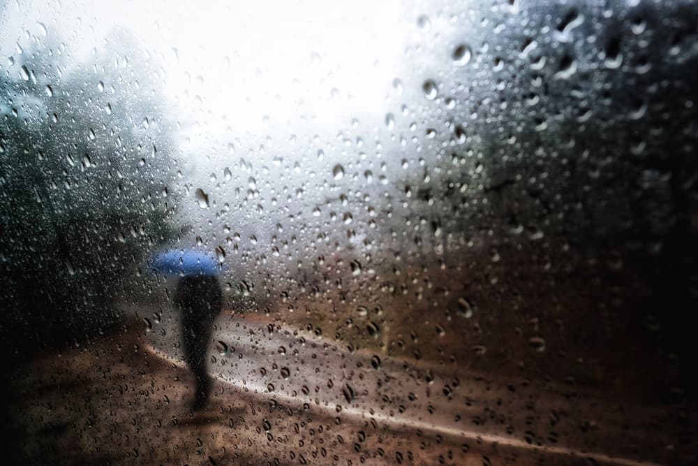 Rainy Day Blue Umbrella by Ali Ayer — canvas wall art