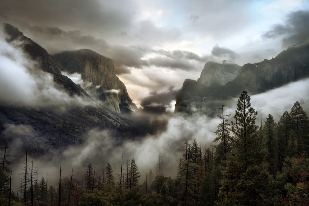Misty Mountain Valley by Gary Perlow — canvas wall art