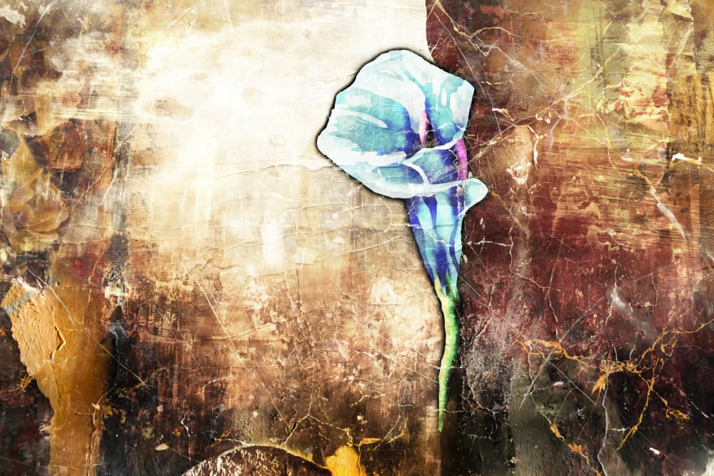 Distressed Blue Lily by Rafal Kulik — canvas wall art