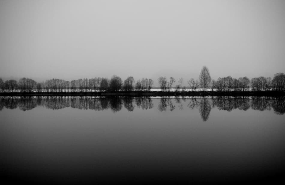 Reflected Winter Trees by Bror Johansson — canvas wall art