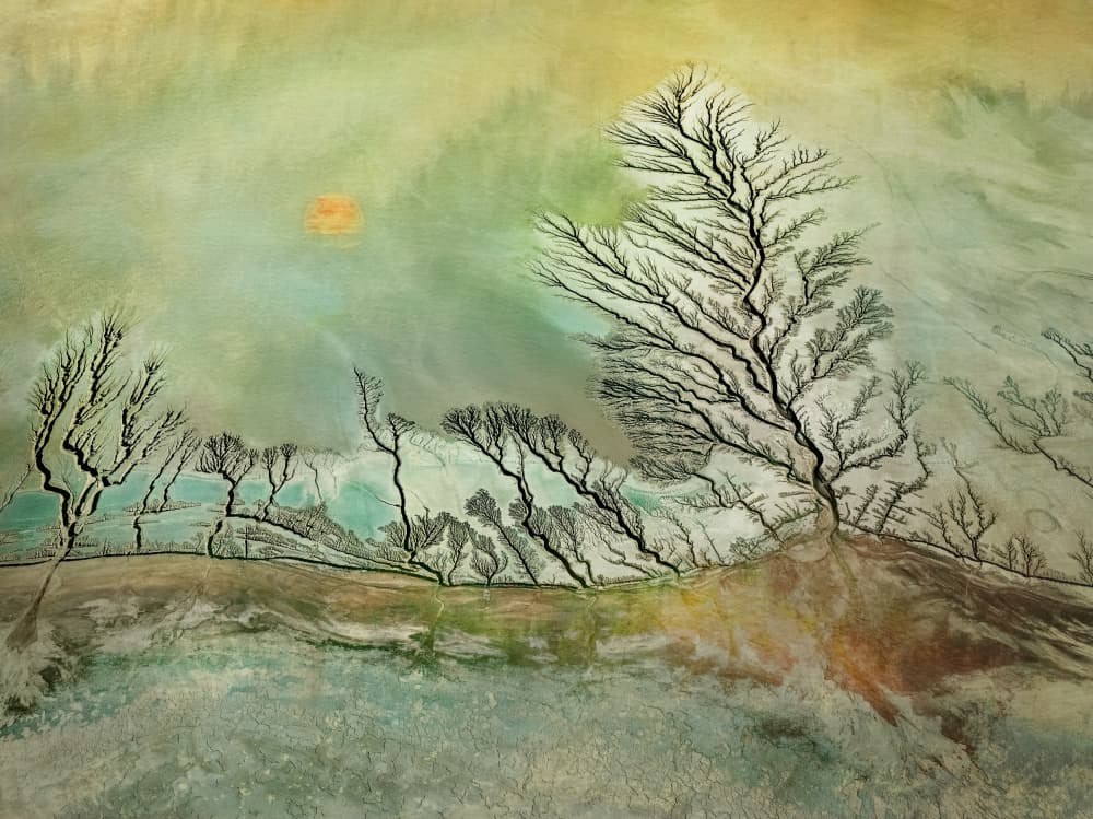 River Delta Sunrise by Shenshen Dou — canvas wall art