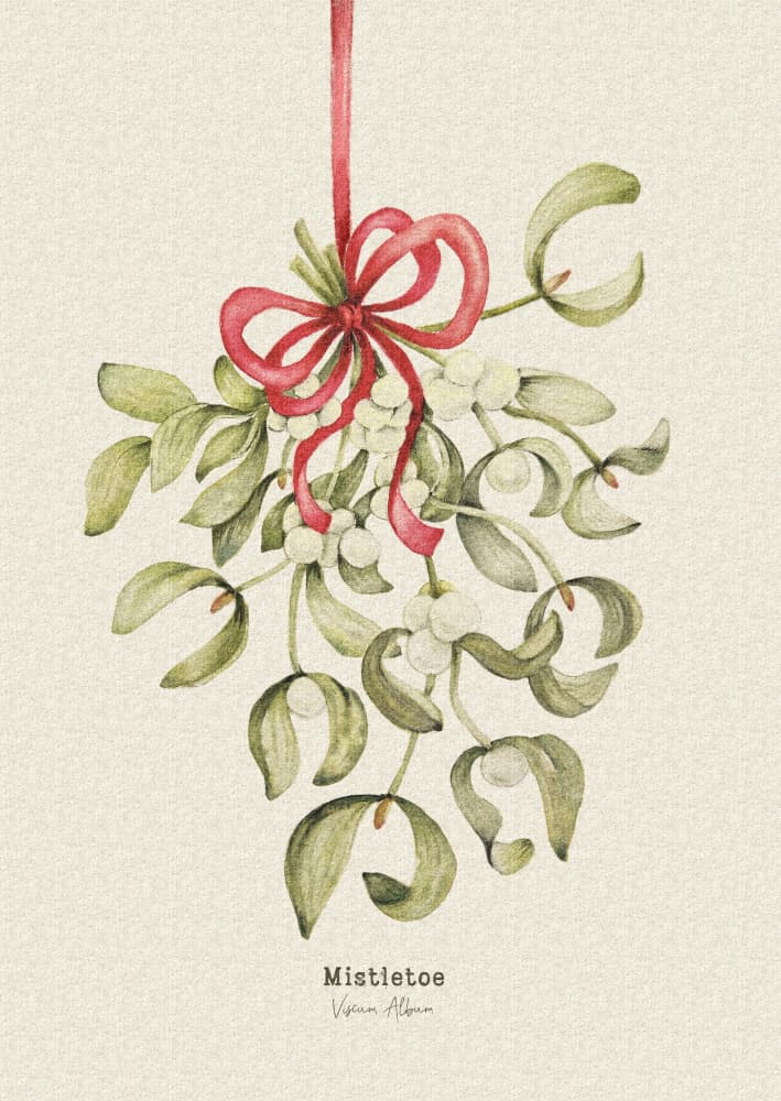 Christmas Mistletoe Red Ribbon by Olena Kovalova — canvas wall art