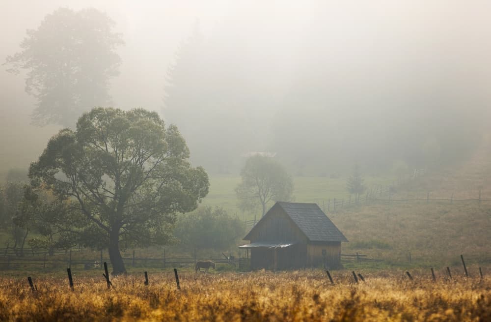 Misty Morning Cabin by Sorin Tanase — canvas wall art