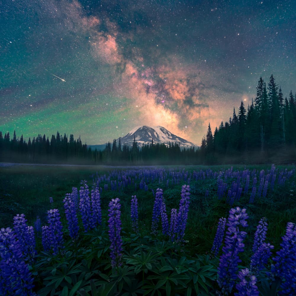 Milky Way Mountain Meadow by Atanu Bandyopadhyay — canvas wall art
