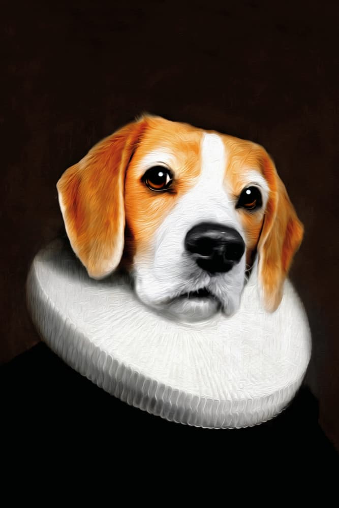 Daisy2 by Tein Lucasson — canvas wall art