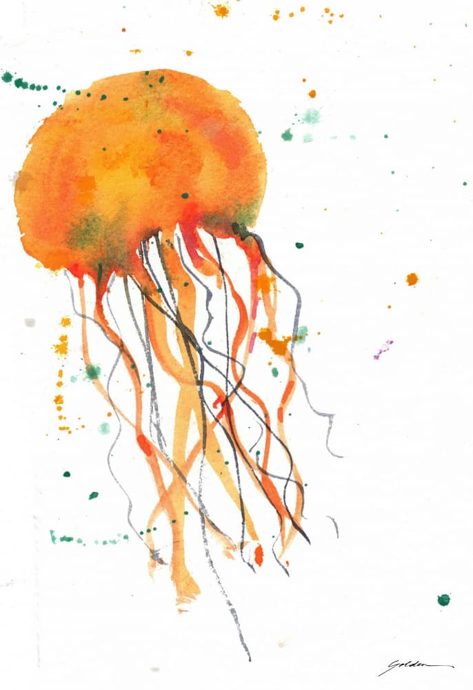Orange Watercolor Jellyfish by Sheila Golden — canvas wall art