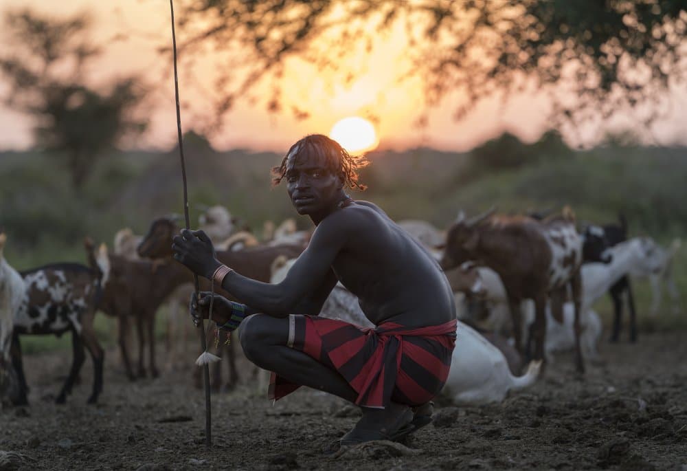African Shepherd at Sunset by Sarawut Intarob — canvas wall art
