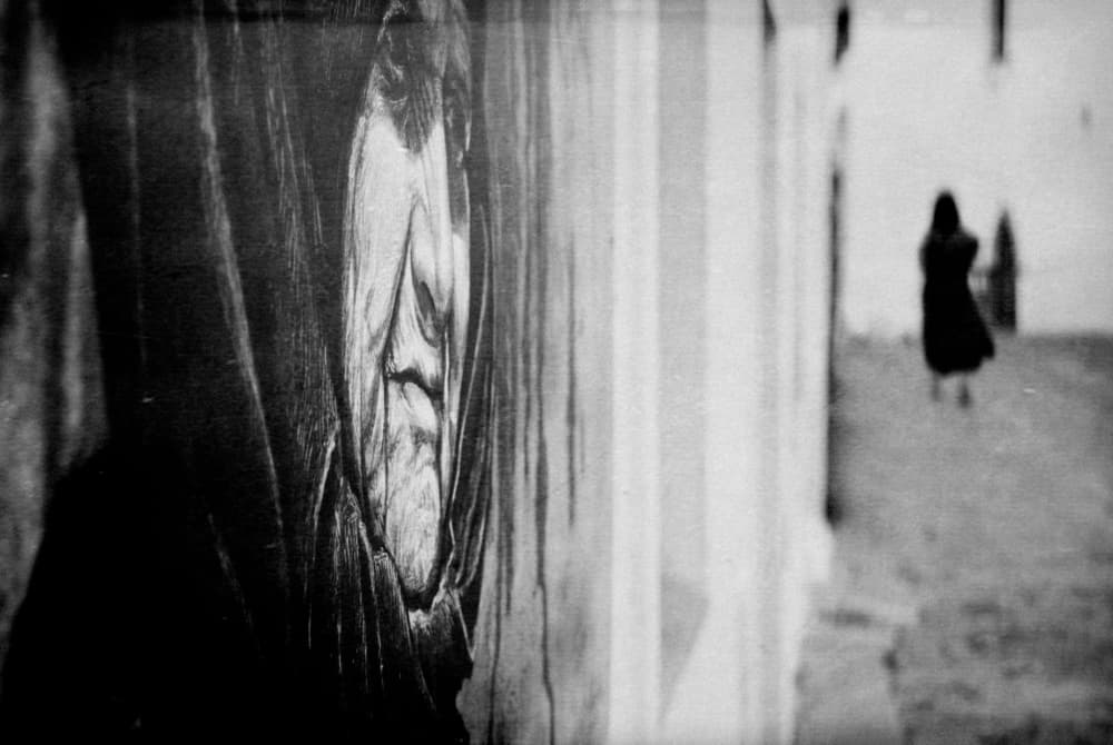 Veiled Woman's Face by Milena Seita — canvas wall art
