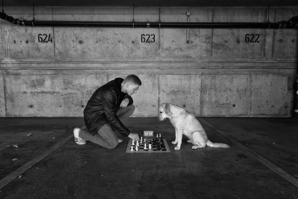 Man and Dog Play Chess by Friedhelm Hardekopf — canvas wall art