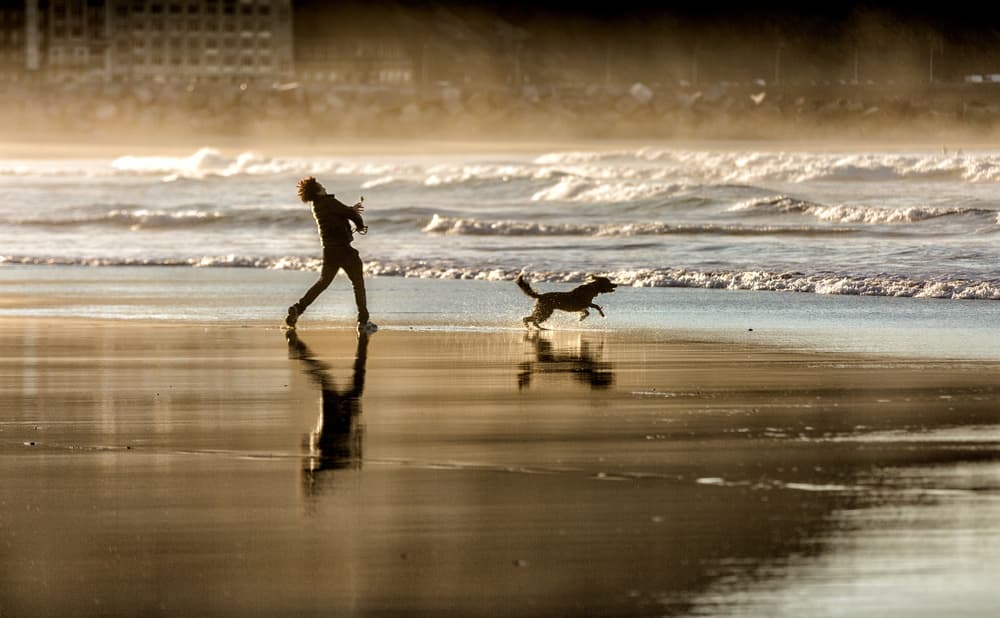 Golden Hour Beach Play by Jois Domont ( J.L.G.) — canvas wall art