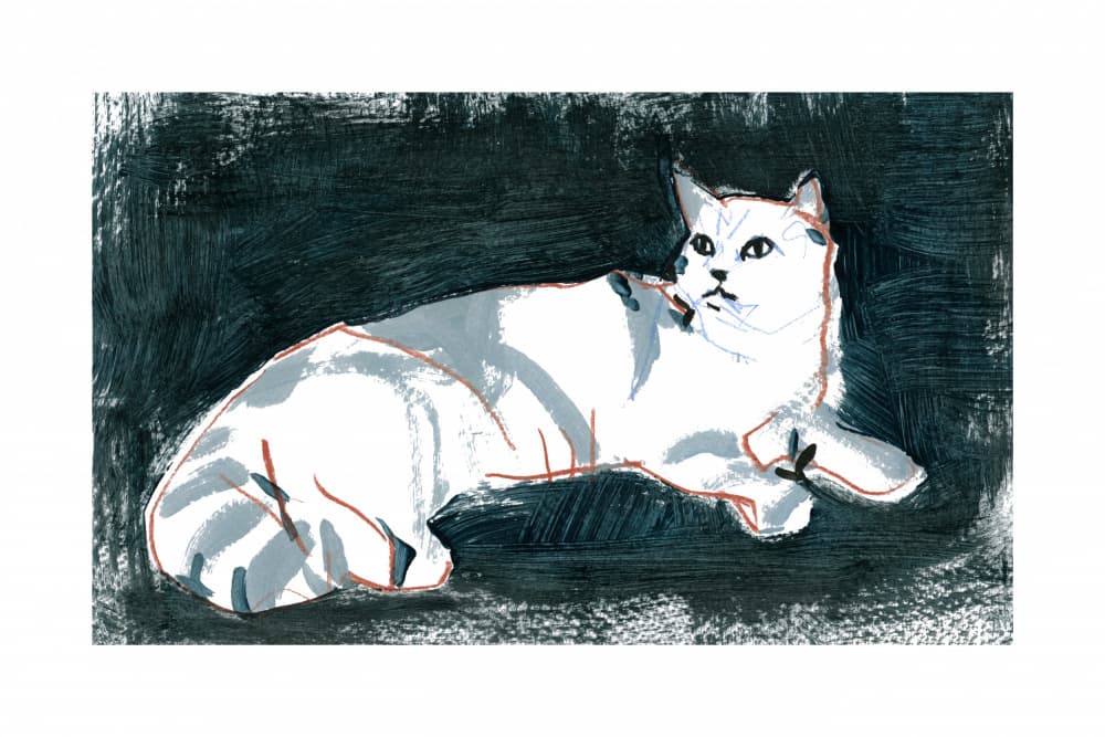 Lying White Cat by cartissi — canvas wall art