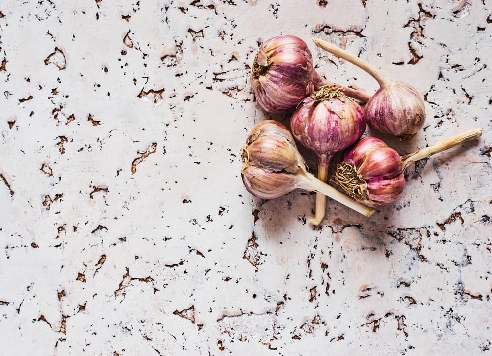Rustic Garlic Bulbs by Karina Aleksandrova — canvas wall art