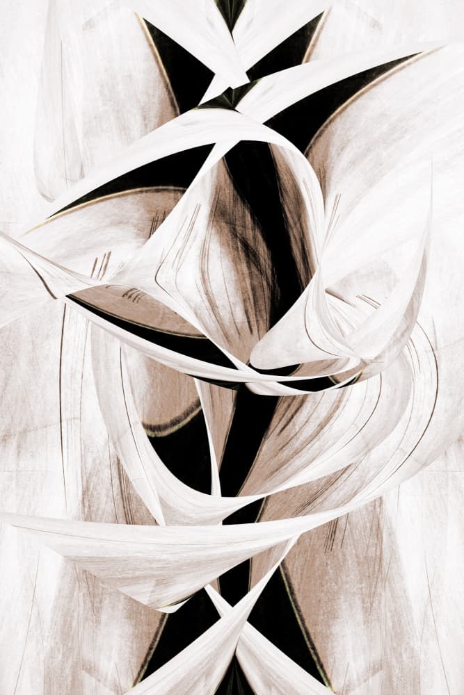 Elegant Abstract Curves by Christina Sillen — canvas wall art