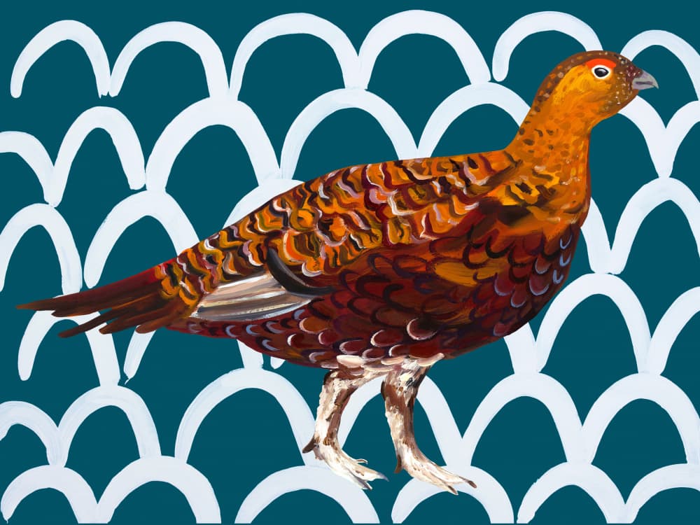 Red Grouse Teal Pattern by Alice Straker — canvas wall art