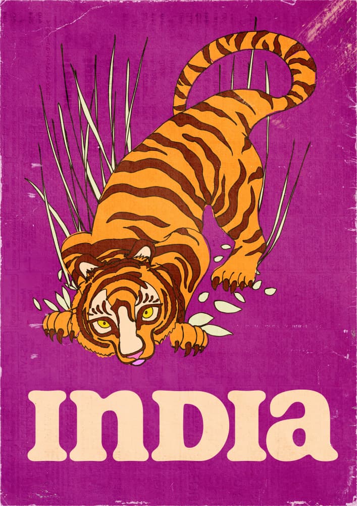 Retro India Tiger by Nicholas — canvas wall art