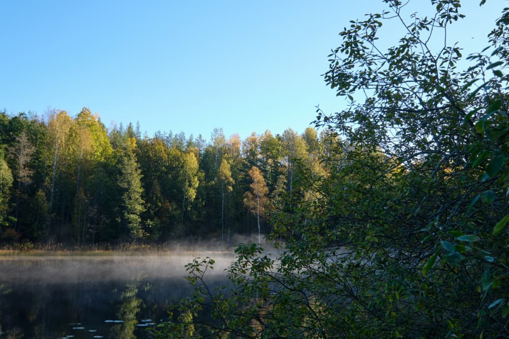 Misty Morning Autumn Lake by Geertjan Plooijer — canvas wall art