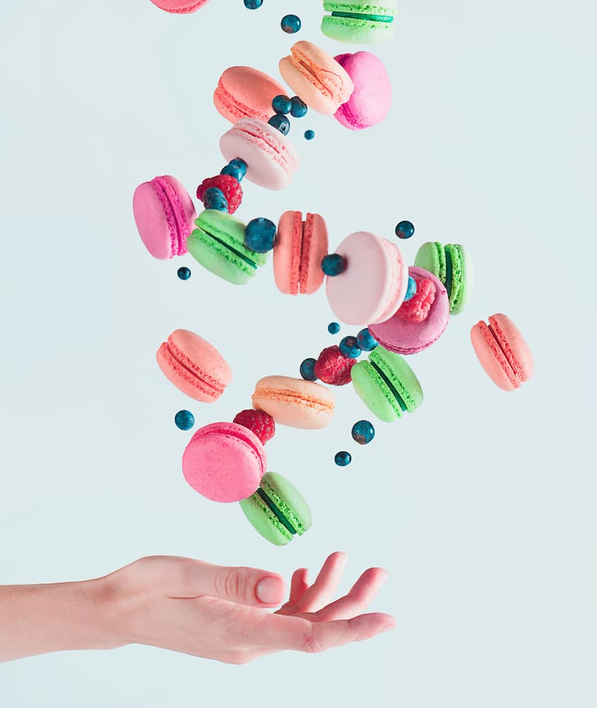 Sweet Macaron Catch by Dina Belenko — canvas wall art