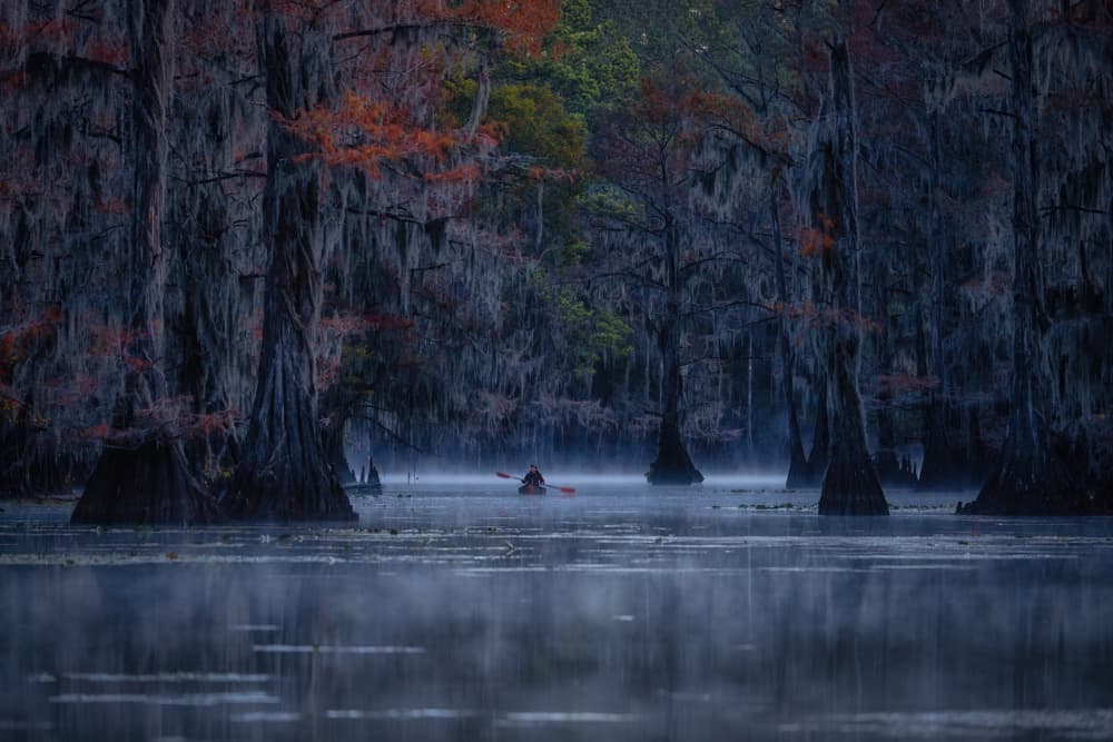 Misty Autumn Cypress Kayak by Michael Zheng — canvas wall art