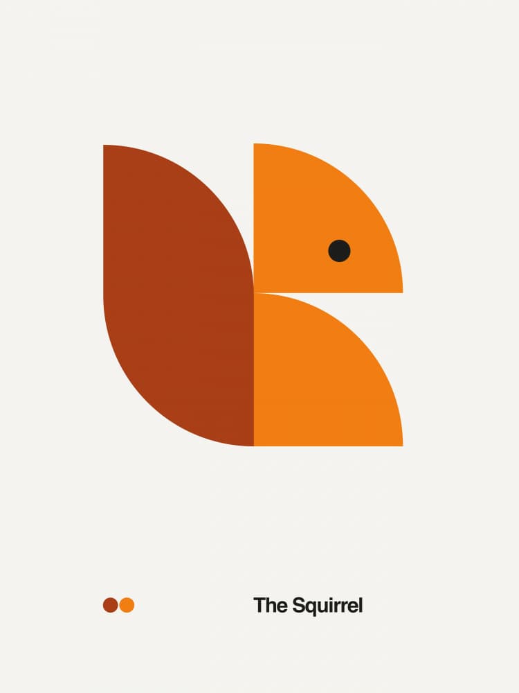 Geometric Squirrel by David Vineïs — canvas wall art