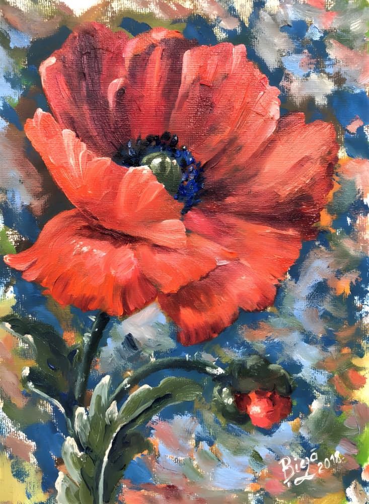 Vibrant Red Poppy by Anda Bieza — canvas wall art
