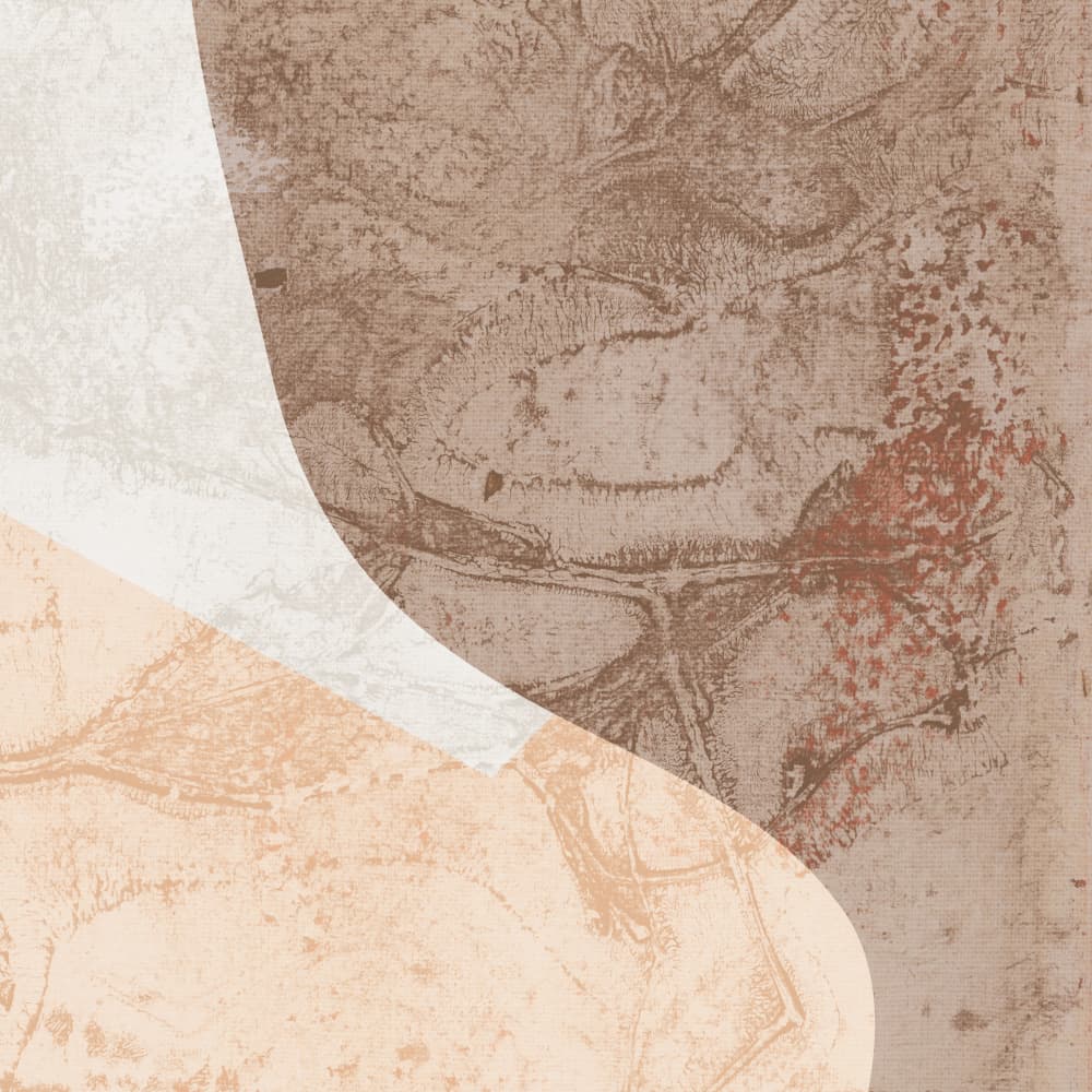 Earthy Abstract Curves by Dina Dankers — canvas wall art