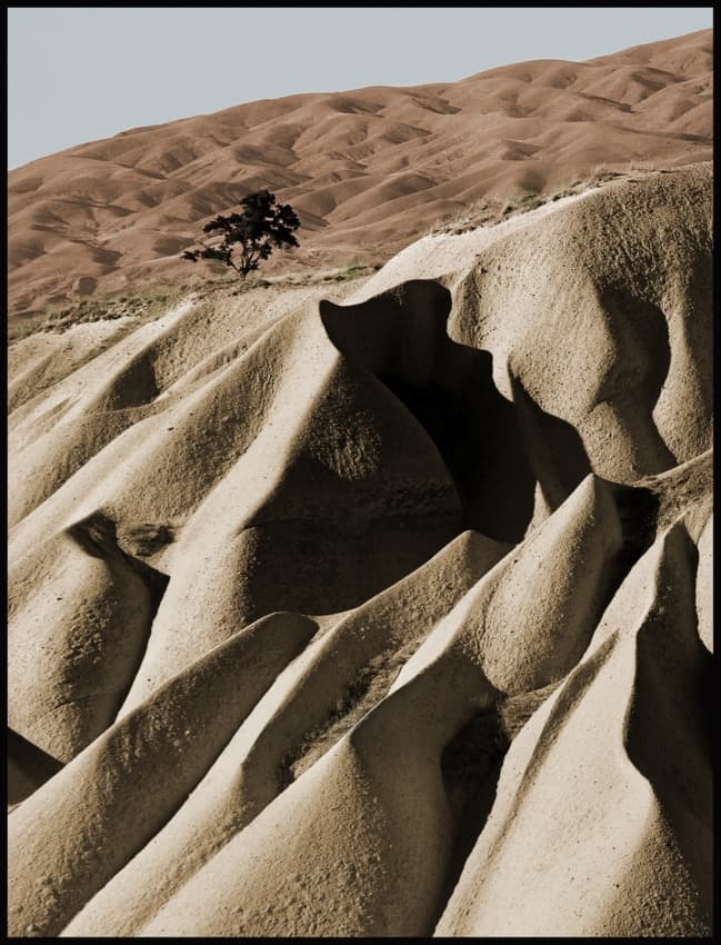 Desert Hills Lone Tree by Milan Malovrh — canvas wall art