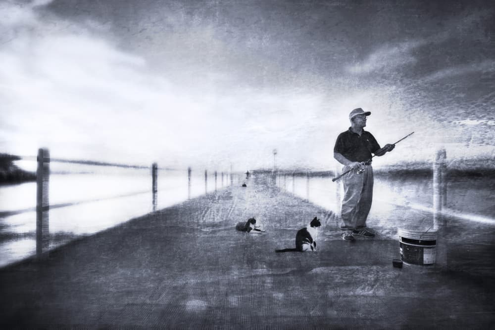 Fisherman and Pier Cats by Nicodemo Quaglia — canvas wall art