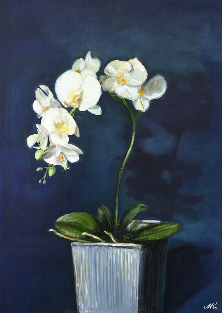 Elegant White Orchids by Marina Kozyr — canvas wall art