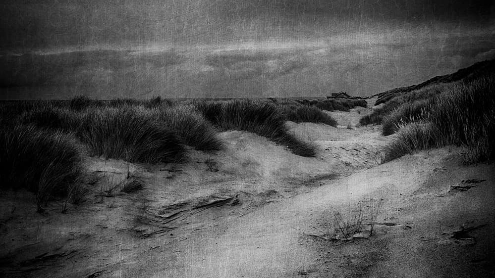 Moody Coastal Dunes by Greetje van Son — canvas wall art