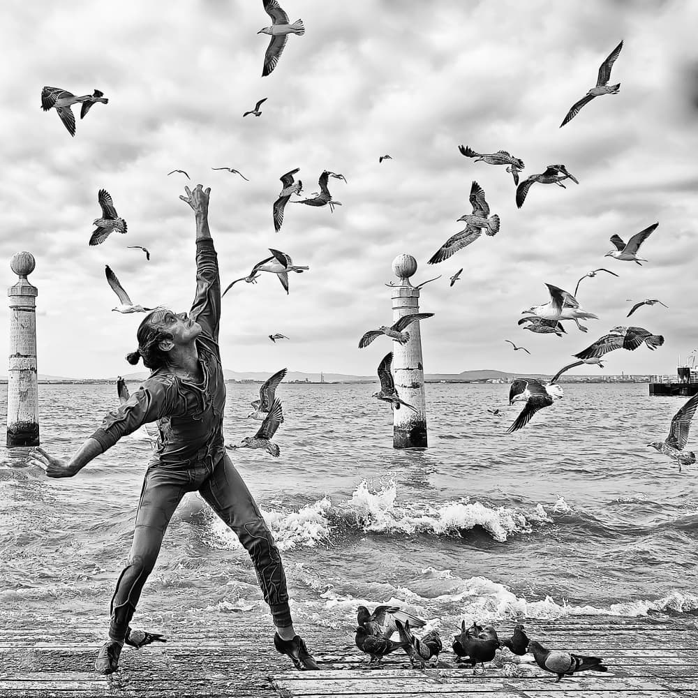 Man And Soaring Gulls by Josefina Melo — canvas wall art