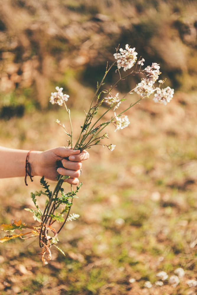Delicate Wildflowers in Hand by Javier Pardina — canvas wall art