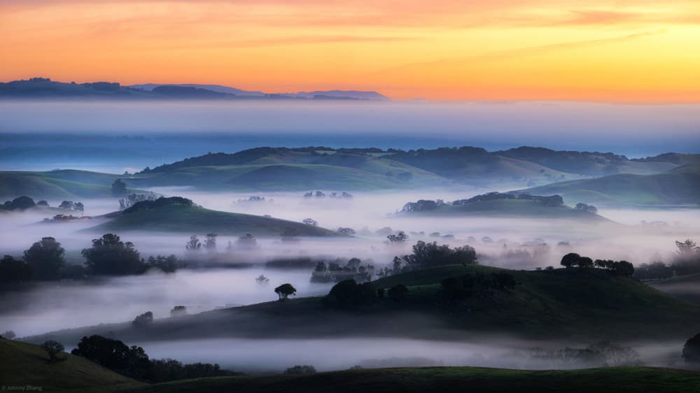 Golden Morning Mist by Johnny Zhang — canvas wall art