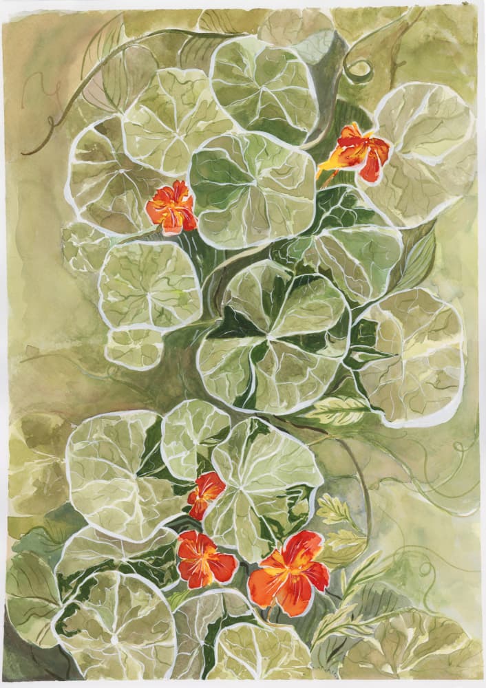 Vibrant Nasturtium Garden by Lucrecia Caporale — canvas wall art