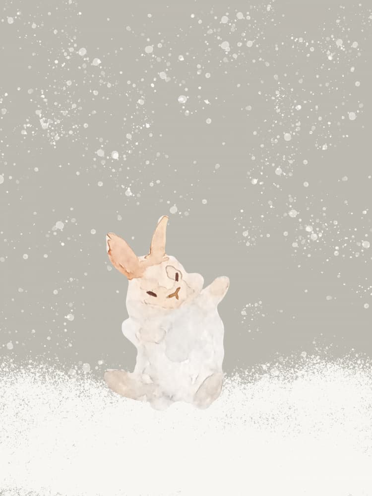 Playful Winter Bunny by Elizabeth C — canvas wall art