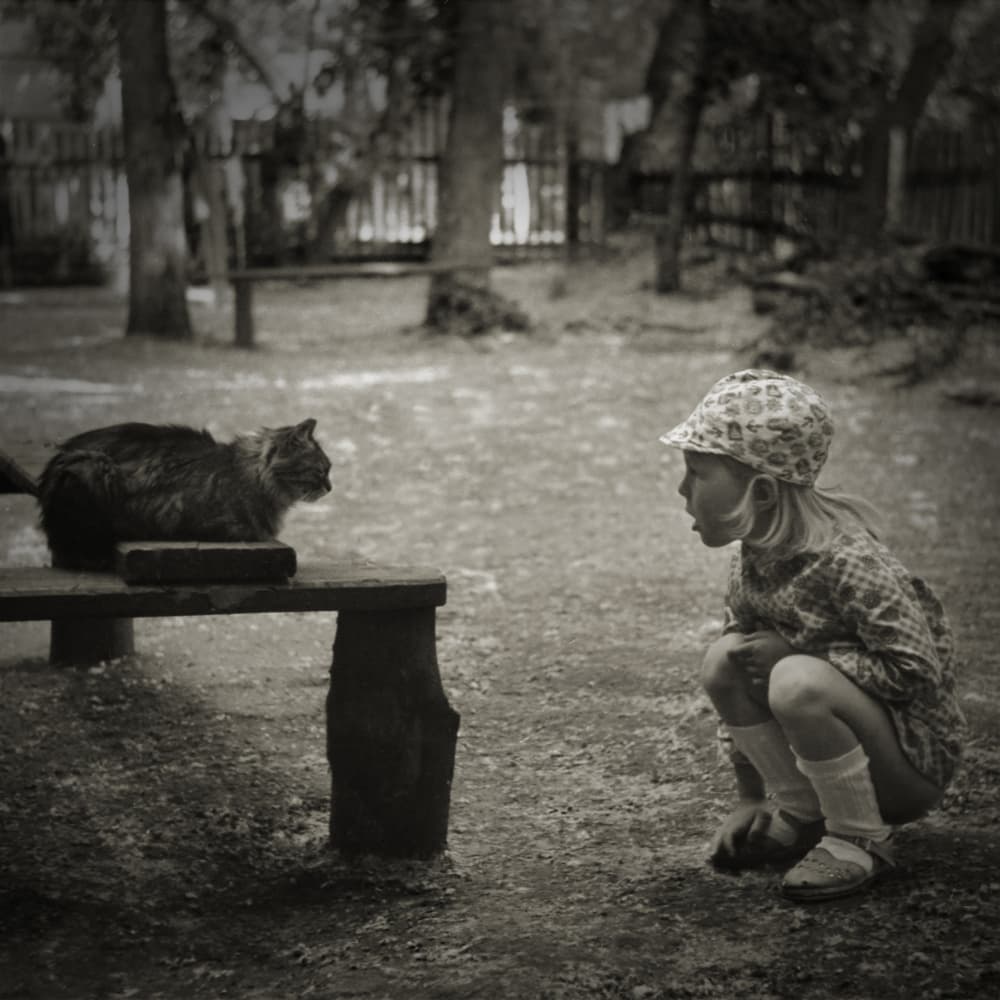 Little Girl Cat Bond by Evgenii Novichikhin — canvas wall art