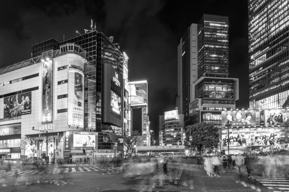 Shibuya Night Crossing by Melanie Viola — canvas wall art