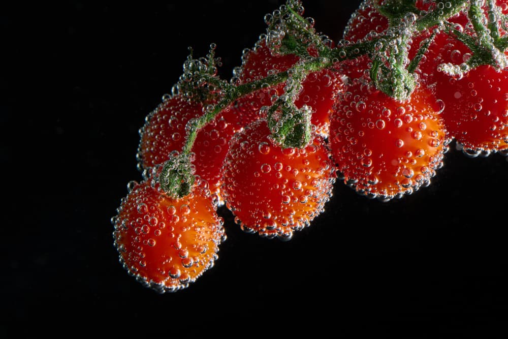 Sparkling Cherry Tomatoes by Drazen Sokac — canvas wall art