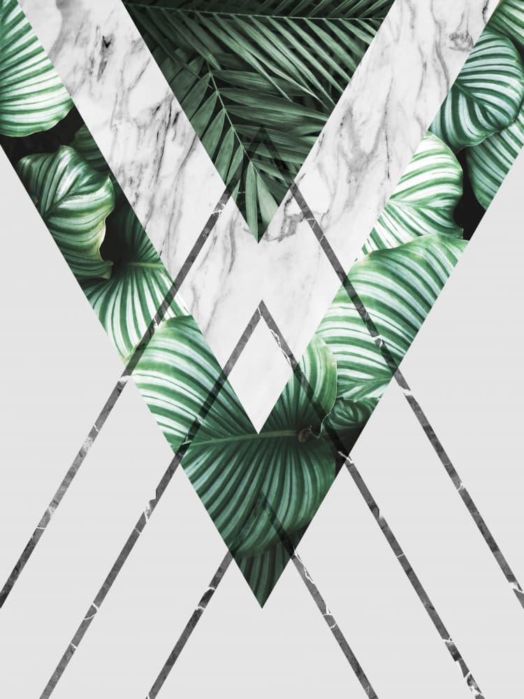 Modern Botanical Geometry by Vitor Costa — canvas wall art