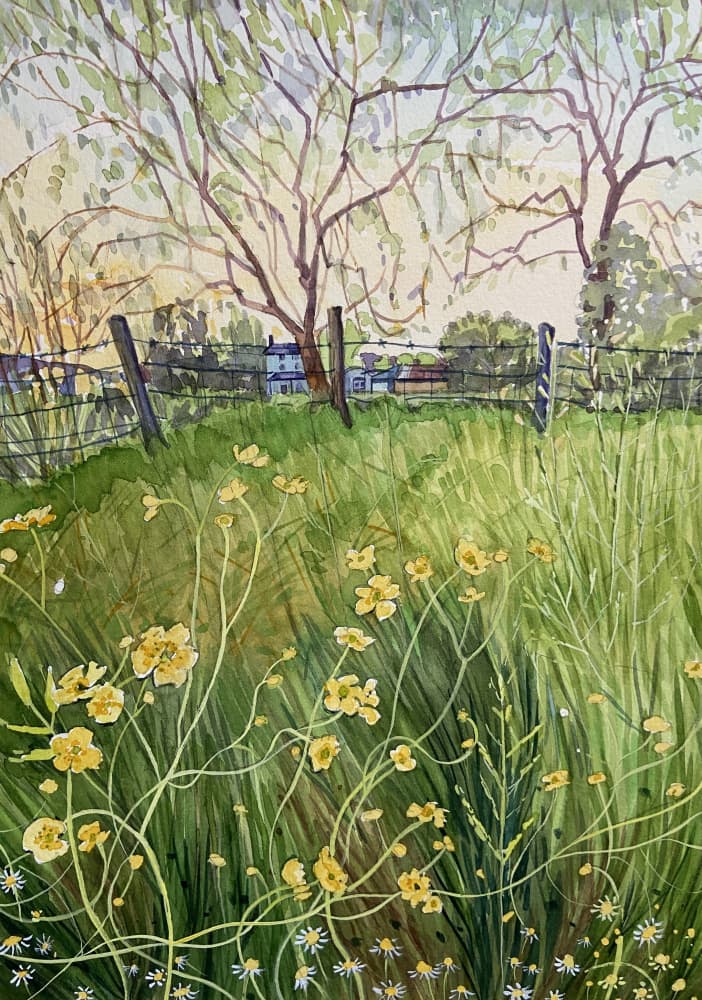 Meadow Flowers And Fence by Luisa Millicent — canvas wall art