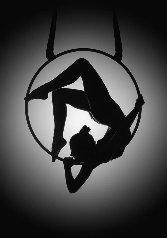 Aerial Hoop Silhouette by David Naman — canvas wall art