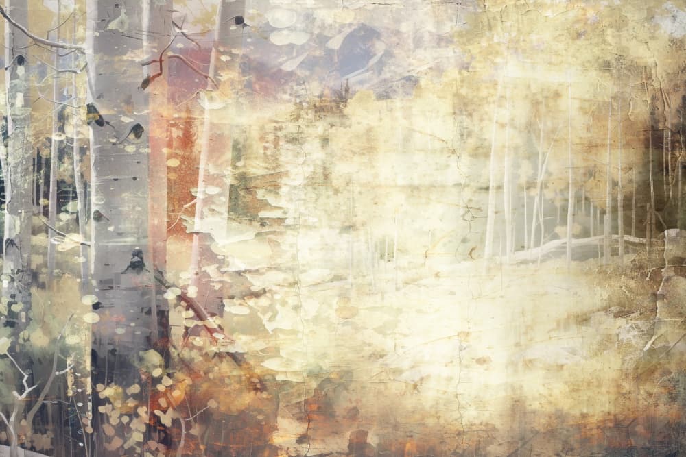 Birch Forest Dream by Rafal Kulik — canvas wall art
