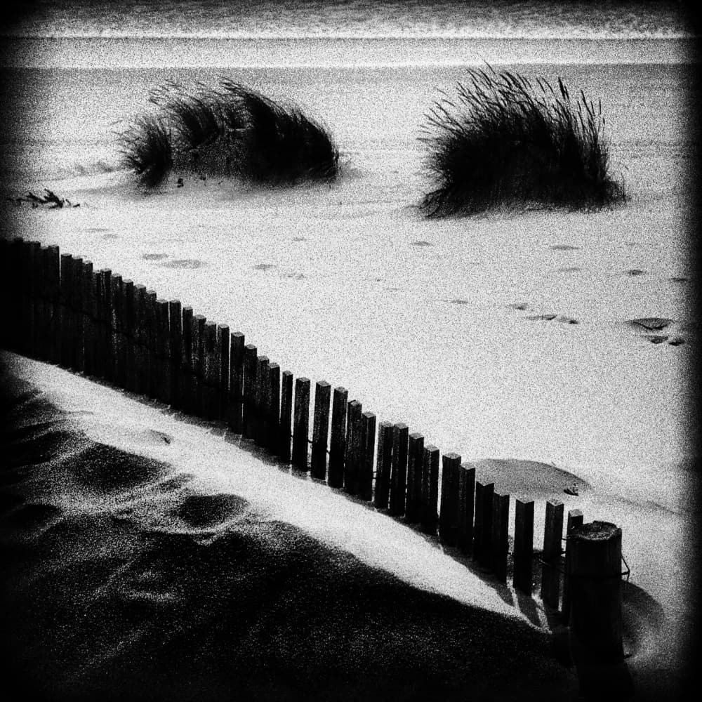 Monochrome Beach Fence by Paulo Abrantes — canvas wall art