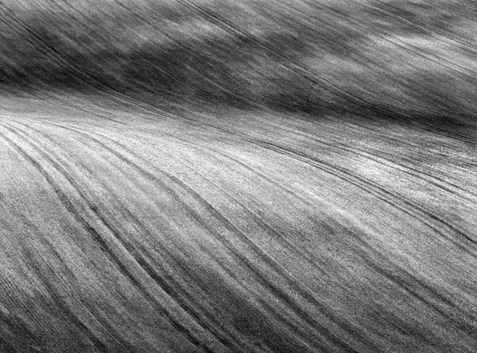 Flowing Field Pattern by Clive Collie — canvas wall art