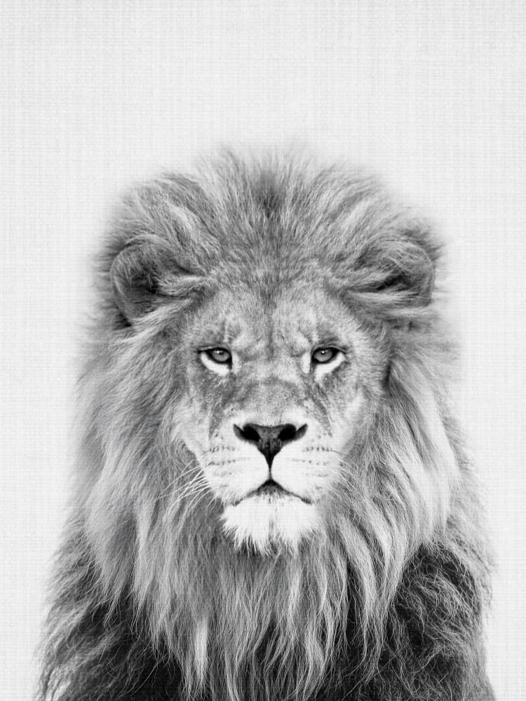 Majestic Lion Portrait by Lila &amp; Lola — canvas wall art