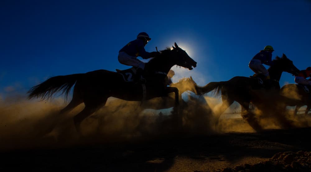 Silhouetted Race Horses by Sharon Lee Chapman — canvas wall art