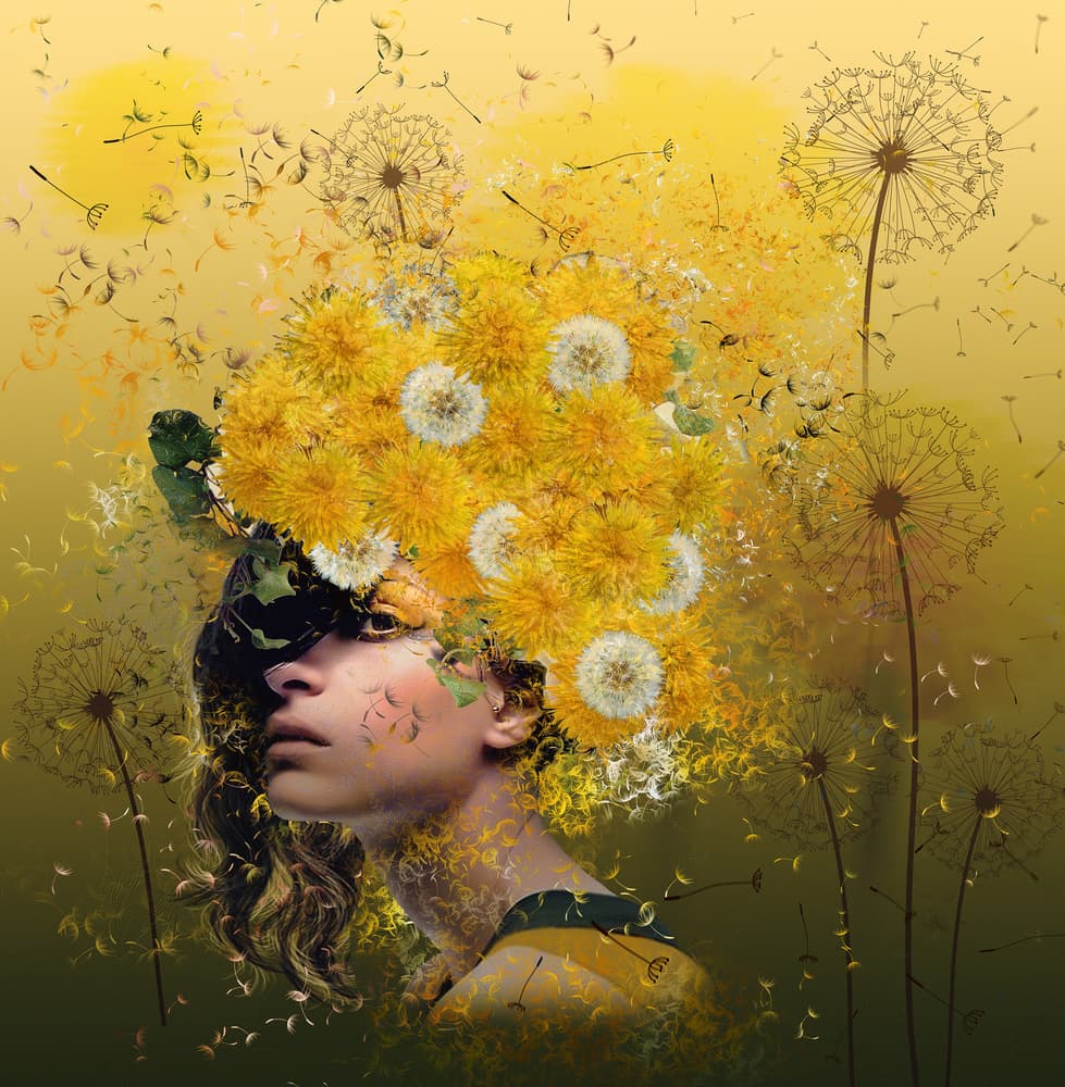 Dandelions by Natalia Simongulashvili   ( NATALIORION ) — canvas wall art