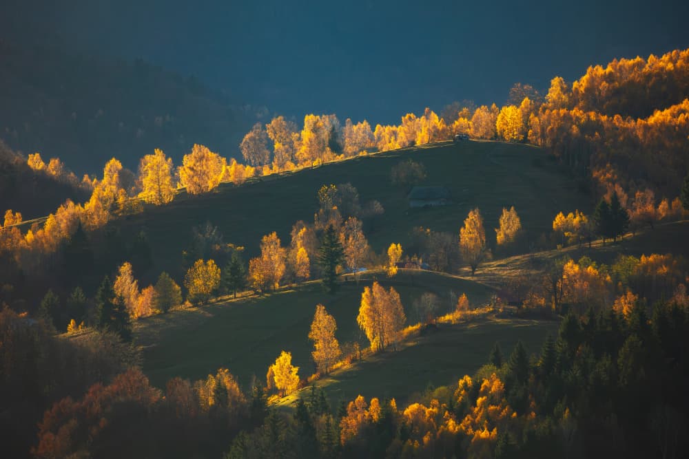 Golden Autumn Hills by Lazar Ioan Ovidiu — canvas wall art