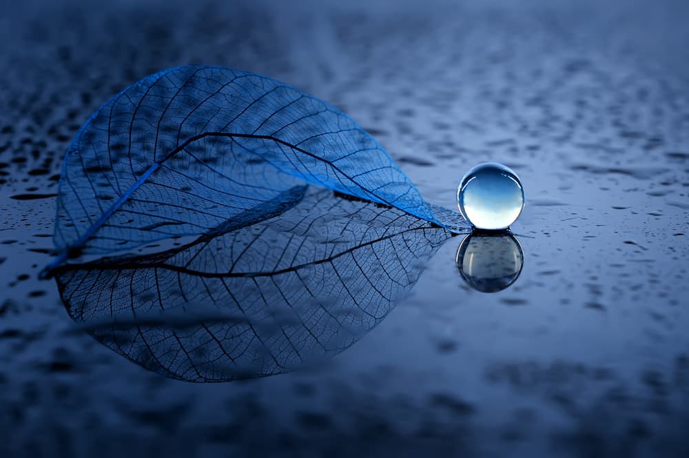 Serene Blue Leaf Sphere by Edy Pamungkas — canvas wall art