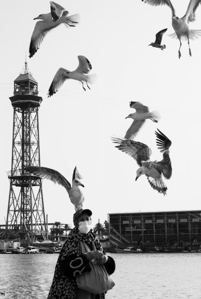 Seagull Perch Woman by Christian Schmahl — canvas wall art